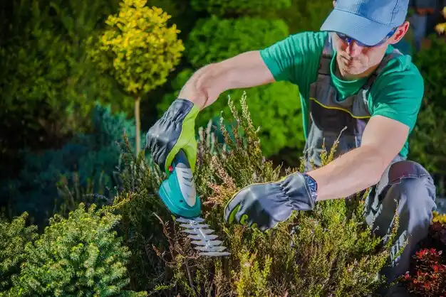 landscaping services University Gardens